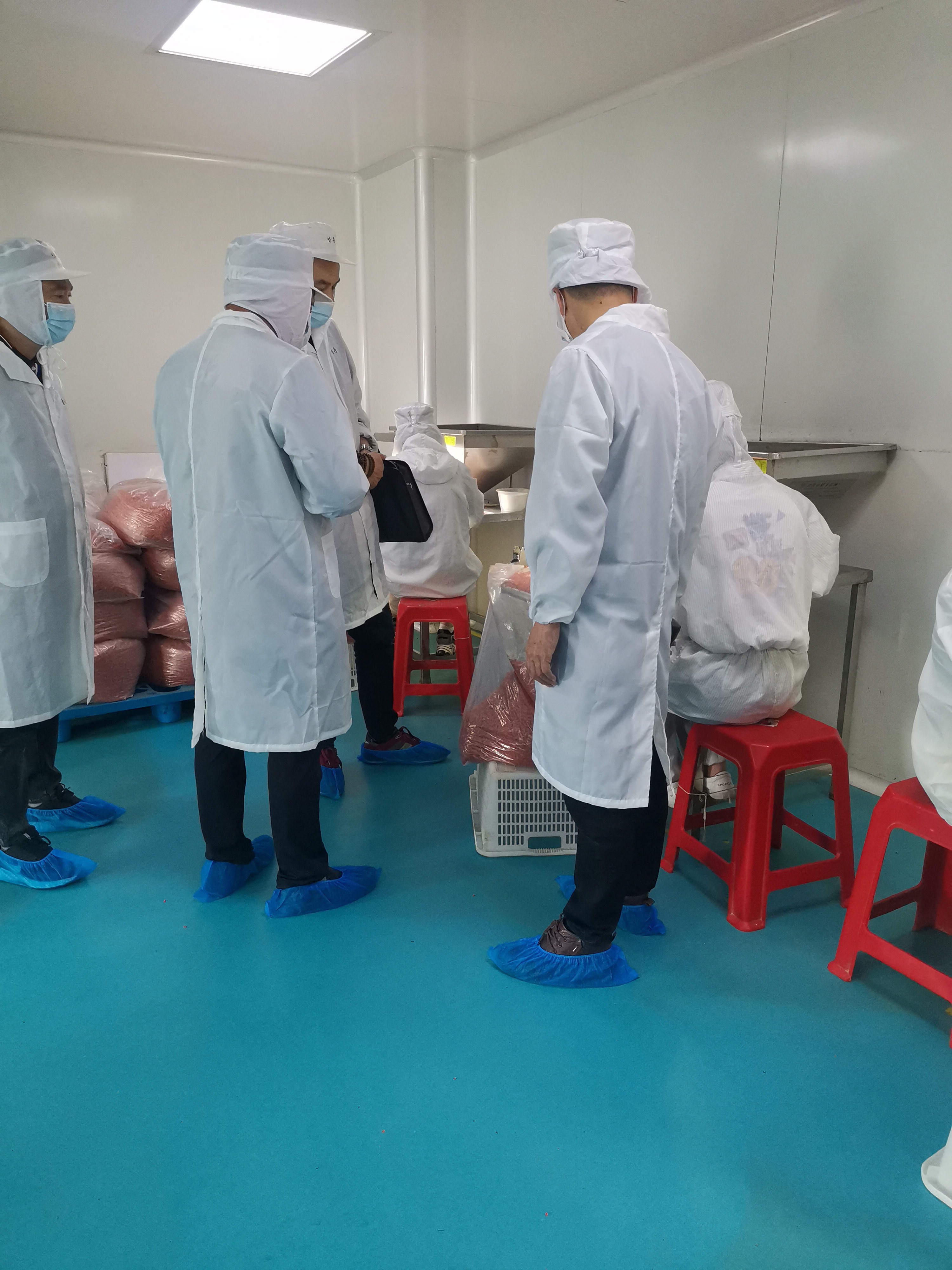 福建盼盼食品集团采购总监陈远洋团队来我公司参观指导工作