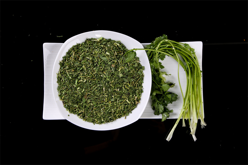 香菜粒5-5