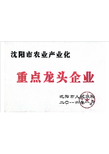 资质荣誉